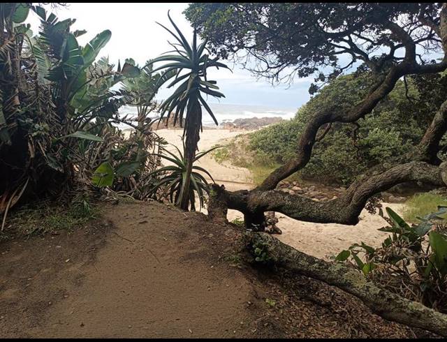 LAND FOR SALE IN PALM BEACH